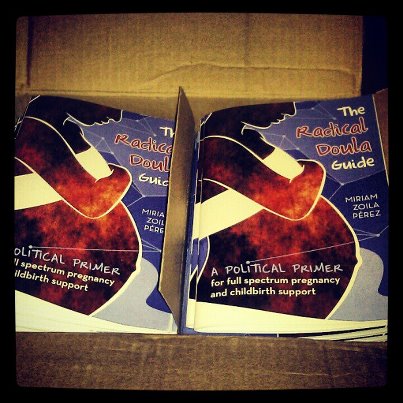 The Radical Doula Guide